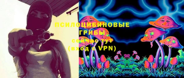 твердый Протвино